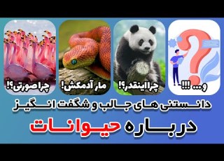 دانستنی های جالب و شگفت انگیز درباره حیوانات