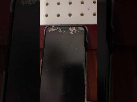 SNOWDOMEの約束 Kis My Ft2