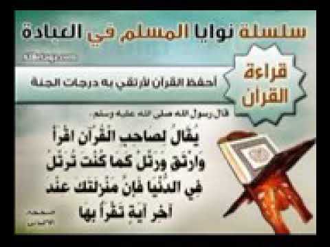 تلاوة رائعة لسورة المؤمنون بصوت القارئ سعيد دباح