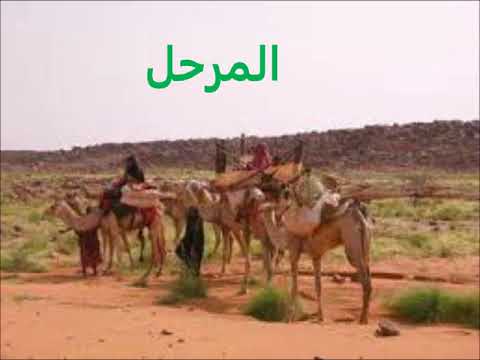 عليون حمزه على رؤوس الأشهاد 2