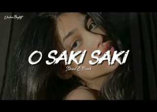 O SAKI SAKI Slowed Reverb