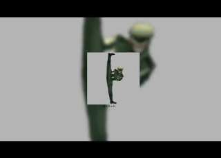  MIDU FOLKSONG 弥渡山歌 Phonk Sped Up