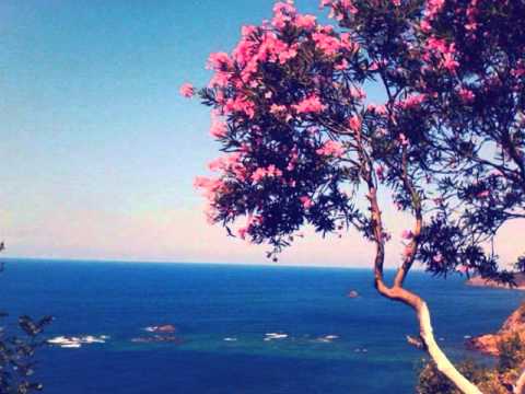 Cheb Aziz Staifi Duo Samir Sghir Bahia Wa Mesrara