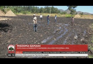 Godina Harargee Lixaatti Qamadiin Jallisiin Misoomaa Jira