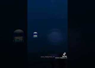 باينة صوصيالة
