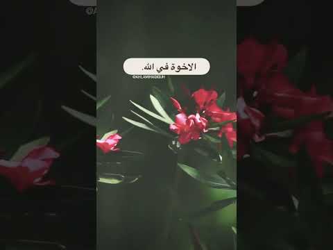 الاخوة في الله