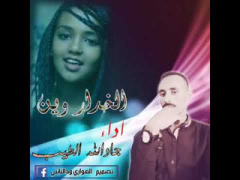 الفنان جادالله الطيب