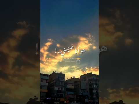 كلكو خاينين تامر عاشور اكسبلور