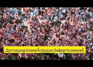 Дустмурод Алиев Эй рафта зи дил рафта зи бар рафта зи хотир