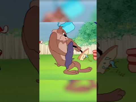 توم وجيري الشواء كارتونيتو