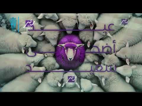 MBC MASR DRAMA Ident Rareee Eid Al Adha 2025 MBC MASR DRAMA Ident Rareee Eid Al Adha 2025