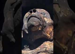  This Egyptian Mummy Was Sacrificed