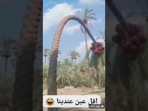 الأرياف العين والحسد أقل عين في الأرياف