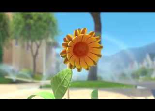 The Sunflower Motivational Short Film 2018