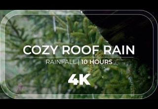 Cozy Roof Rain 10 Hours Of Cozy Sheltered Rain
