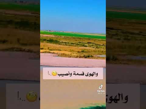 انت عارف يالحبيب