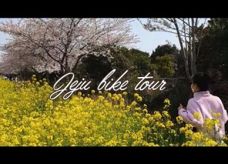  ENG 유튜브 보고 따라 나선 제주도 초보 자전거 여행 Jeju Bike Tour 봄 벚꽃구경