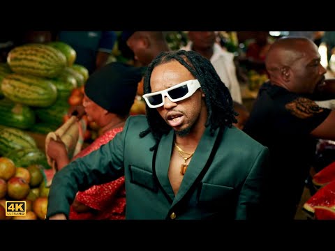 Dogo Janja Feat Aslay One Day Official Music Video