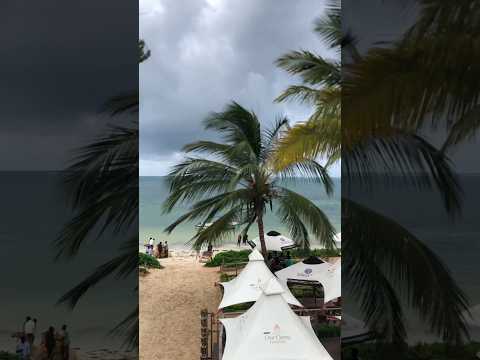 DayOut At CharChoma Nyali Youtubeshorts Minivlog DayOut At CharChoma Nyali Youtubeshorts Minivlog