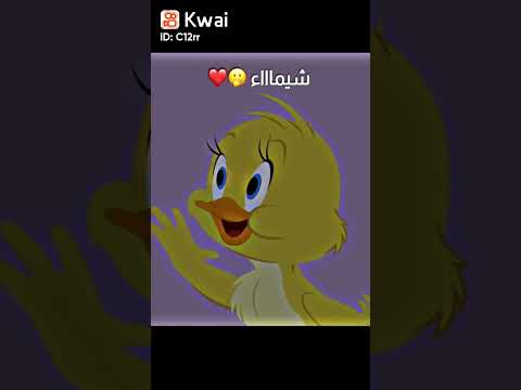 البطه شيماء