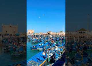 Essaouira Morocco Travel Morocco Essaouira Beach