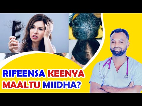 Wantoota 12 Rifeensa Keenya Caccabsan Haphisan Harcaasaniif Fixaniifi Furmaata Isaa