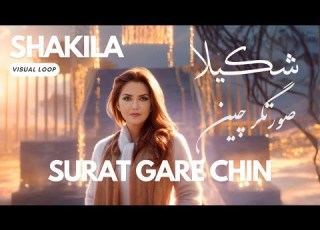Surat Gare Chin Hafez Mohammad Ali Kiyani Nejad صورتگر چین هنر حافظ محمدعلی کیانی نژاد