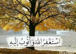  سورة الإخلاص والقلق والناس