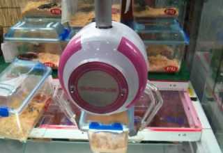 かぶとむし くわがた ＵＦＯキャッチャー おしい