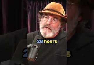 Joe Rogan Slime Mold Has INTELLIGENCE Joerogan Japan Experiment