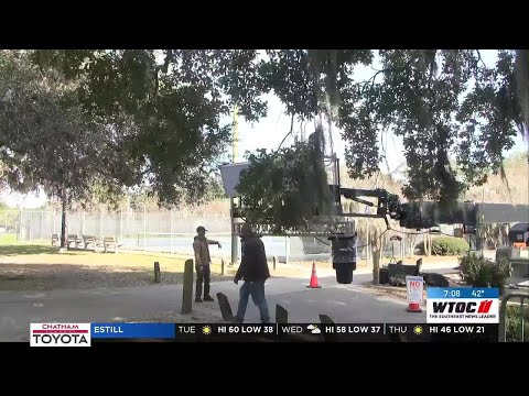 Road House 2 Filming Brings Hollywood Back To Savannah