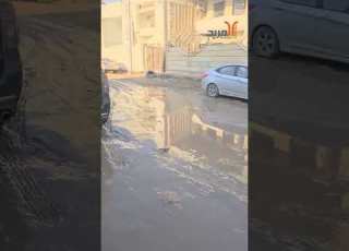  مناشدة من البراضعية في البصرة حول مصير مشروعهم المربد