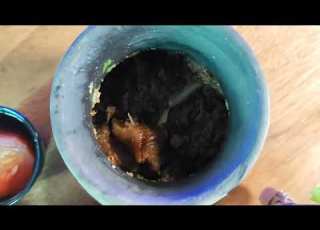 Nungbi Pork Keishamthong Hodam Leirak