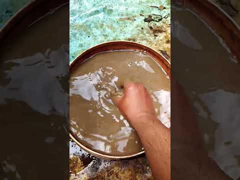 Warum Ist Unsere Liebe Gescheitert Shorts Feedshorts Subscribe