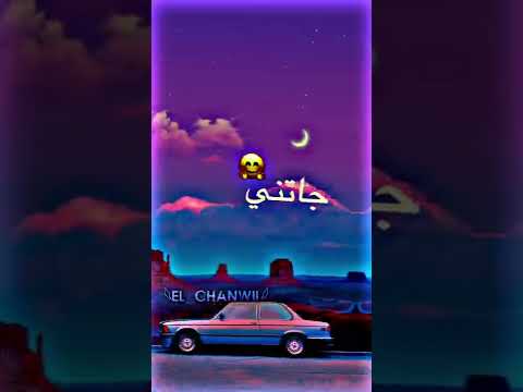 مادريت هاد البابيشة مين جاتني يااا