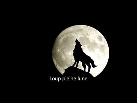 Mishlin Khalife Fou2 Wmv