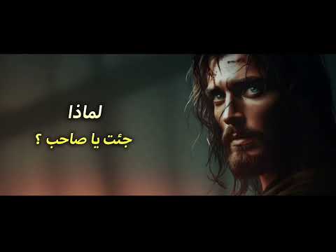 لماذا جئت ياصاحب لورين عشم بيتر عوض مونتاچ مريم ماهر NEW HD