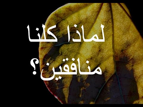 لماذا كلنا منافقين 310