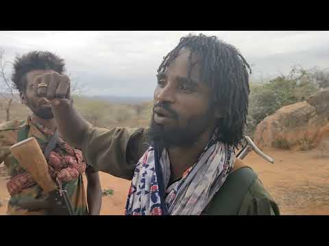 Akeekaafii Kaayyon ABO Yoomuu Jijjiiramuu J Cichaa Kaayyotiin