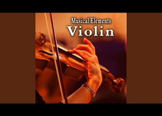  Slide Down Played On A Violin 4