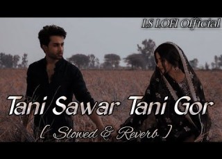  TANI SANWAR TANI GOR Slowed Reverb Pawan Singh Love Lofi Song LS Lofi Official