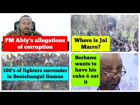 PM Abiy S Allegations Against His Own Govt Where Is Jal Maro Infighting In Prosperity Party