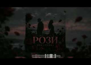  DNK TEMRA РОЗИ TIK TOK