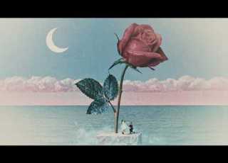  Tove Lo Des Fleurs X Stromae Official Video