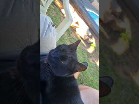 Https Youtu Be 08xa9IiT37w Don T Mind Me Just Hangin About Go Suss The Link For H D Riding Kool