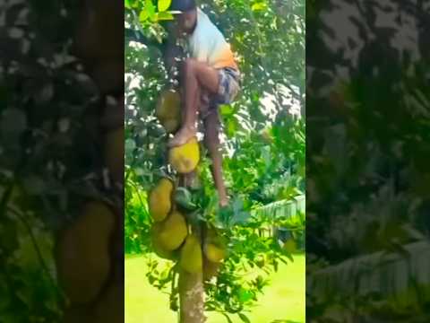 This Went Wrong Shorts Viralcomedy Funnyshorts Elizacomedy