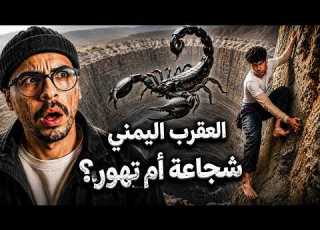 ظهور العقرب اليمني مغامر جديد بديل القعقاع شجاعة ام تهور