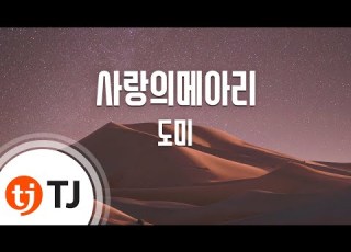  TJ노래방 사랑의메아리 도미 TJ Karaoke