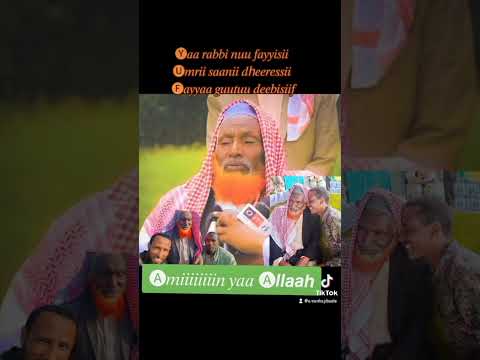 𝙡𝙖𝙢𝙖𝙖 𝙖 𝙮𝙖𝙖 𝙪𝙡𝙖𝙢𝙖𝙖 𝙖