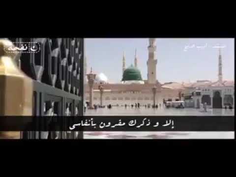 اديب الدايخ اللهم صل على سيدنا محمد اديب الدايخ اللهم صل على سيدنا محمد